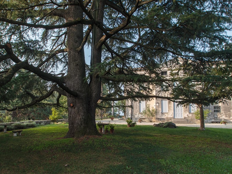 Villa Monte di Costacolonna